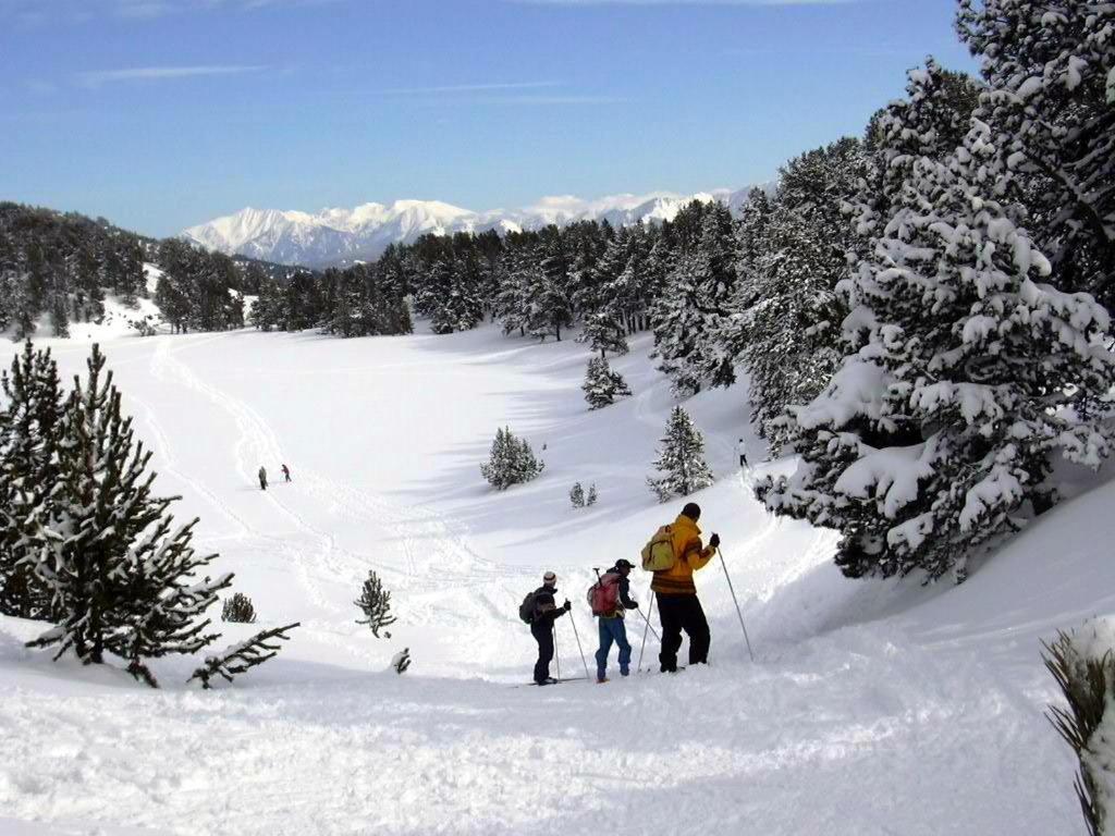 Le Chalet Du Ticou Bolquere Pyrenees 2000 Buitenkant foto