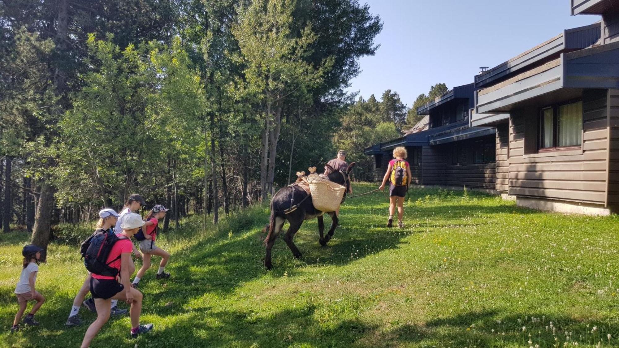 Le Chalet Du Ticou Bolquere Pyrenees 2000 Buitenkant foto